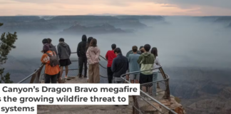 Tourists watch smoke from the Dragon Bravo wildfire float through the Grand Canyon. Scott Olson/Getty Images